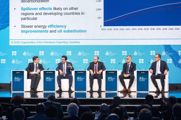 20250710_12h23m19s_IMG_3548